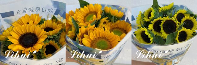 mmexport1730427541913