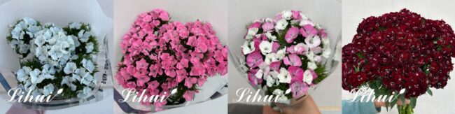 mmexport1730429689156